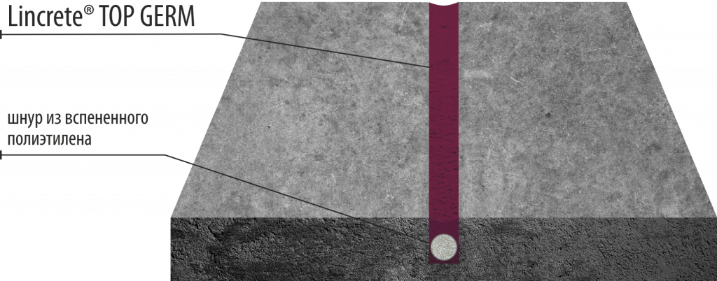 пирог LINCRETE®Top Germ.png